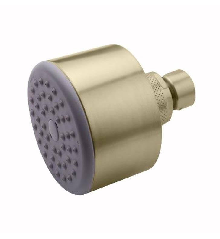 Single Function Showerhead with Low Flow Regulator B7308