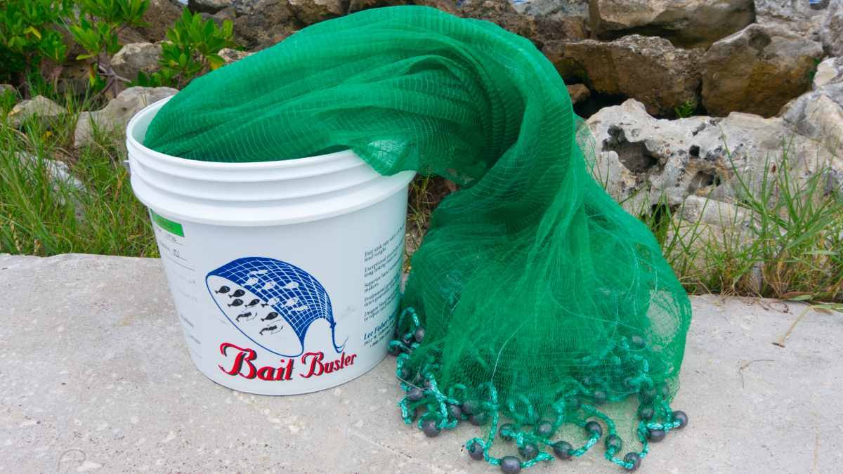 1/4x22 Sq. Mesh Minnow Cast Nets B740596
